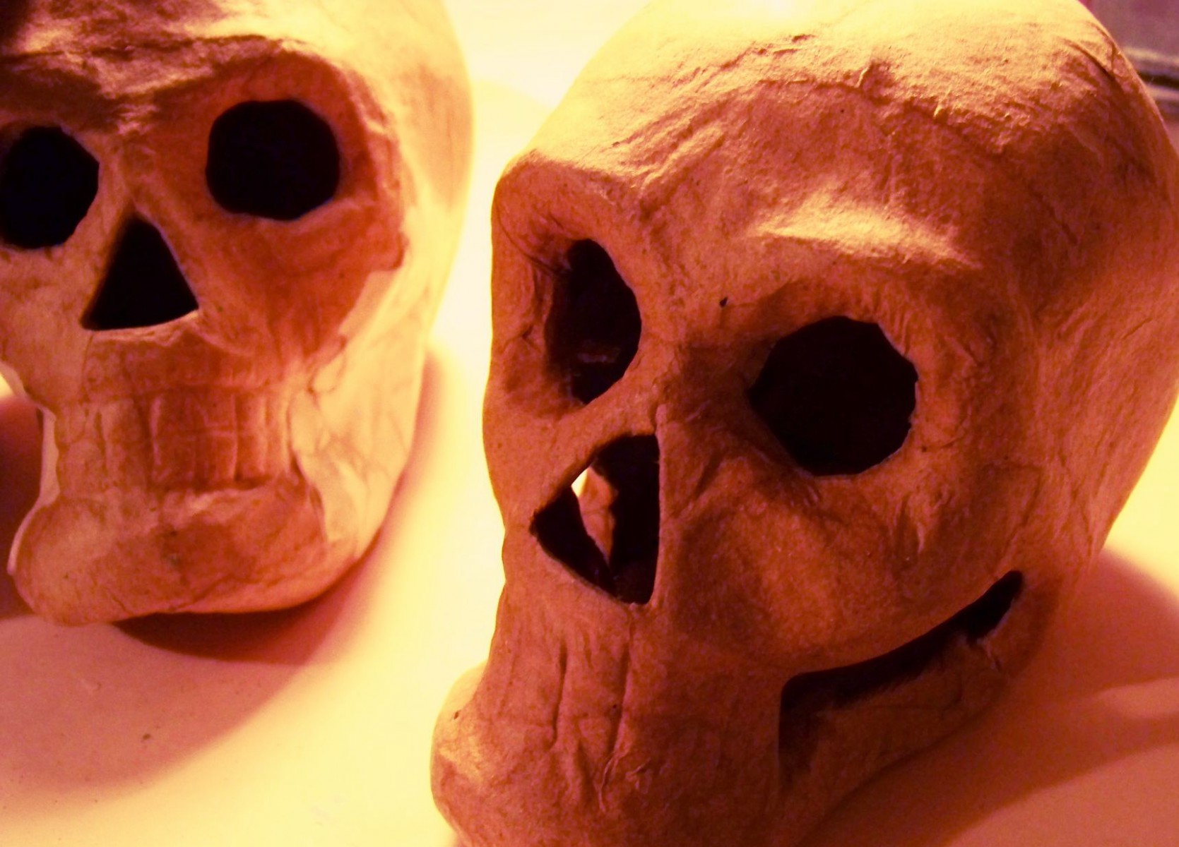 Paper Mache Skulls Art Supply Guide