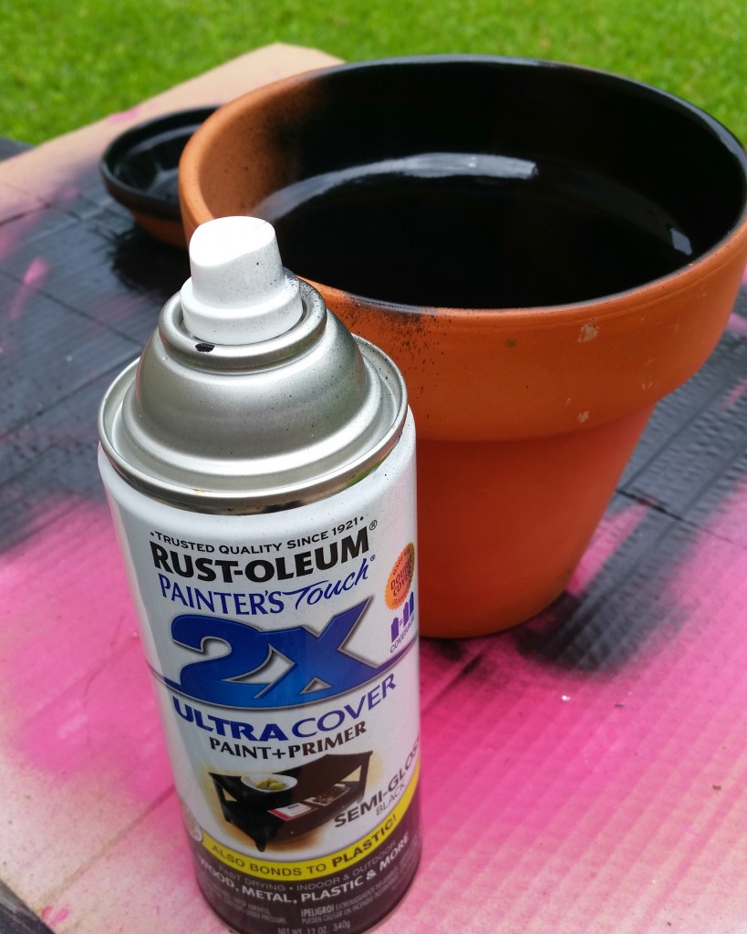 using Rust-Oleum Painters Touch to change the appearance of a terra cotta pot